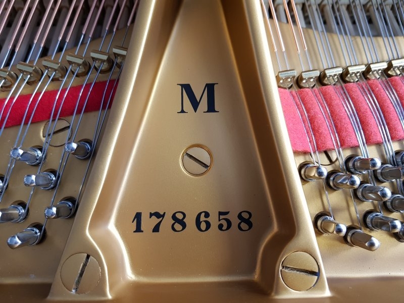 Steinway M