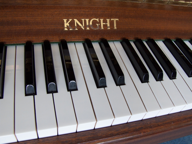 Knight York