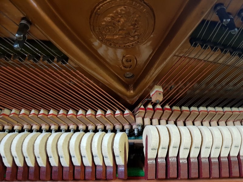Bechstein 9