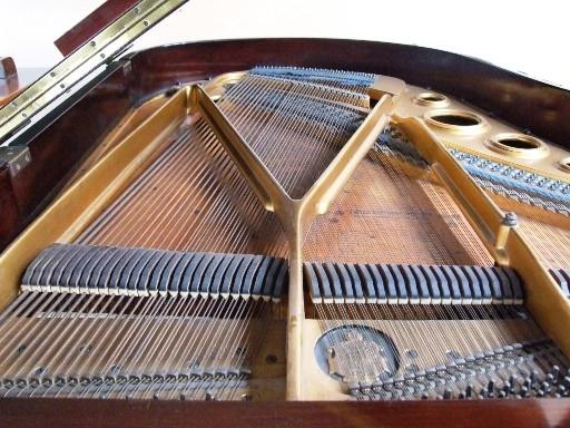 Bluthner V grand Piano in rosewood – Gallery image – Roberts Pianos Oxford