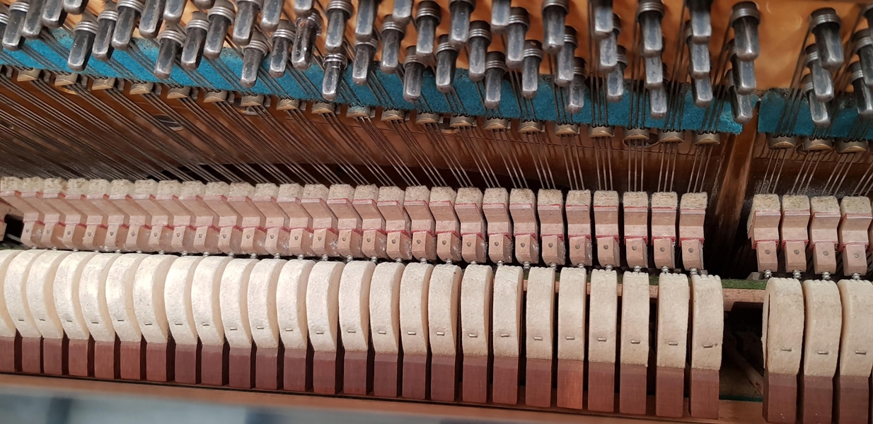 Bechstein 10