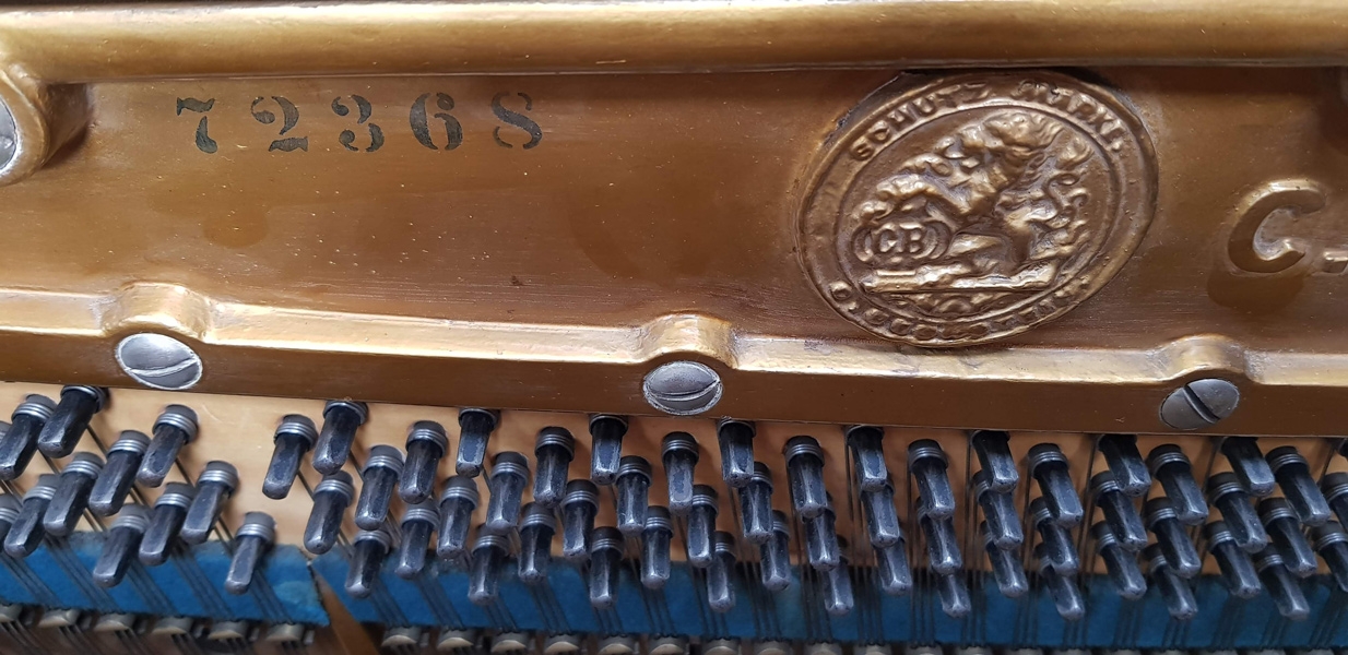 Bechstein 10