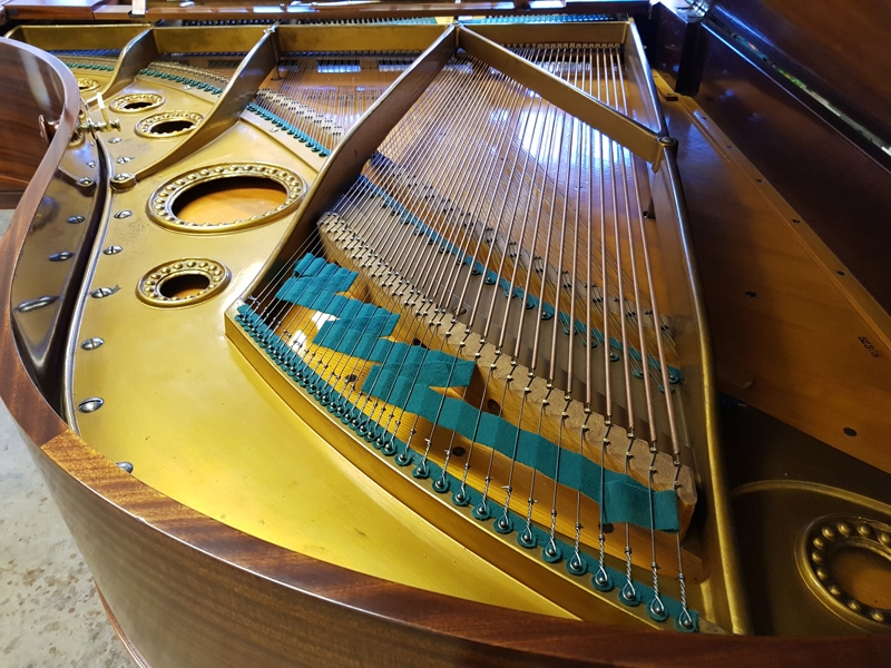 Bechstein B