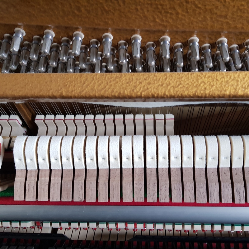 Bechstein Millennium 116