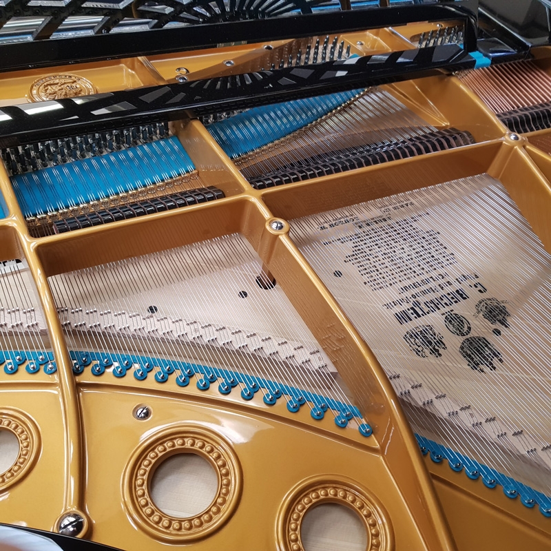 Bechstein C