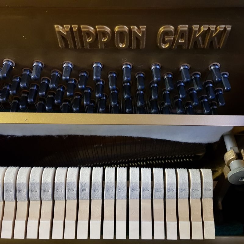 Yamaha U1D