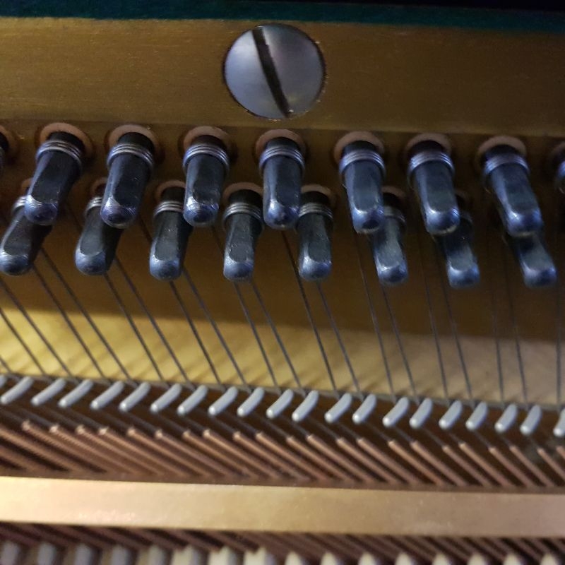 Yamaha U1D