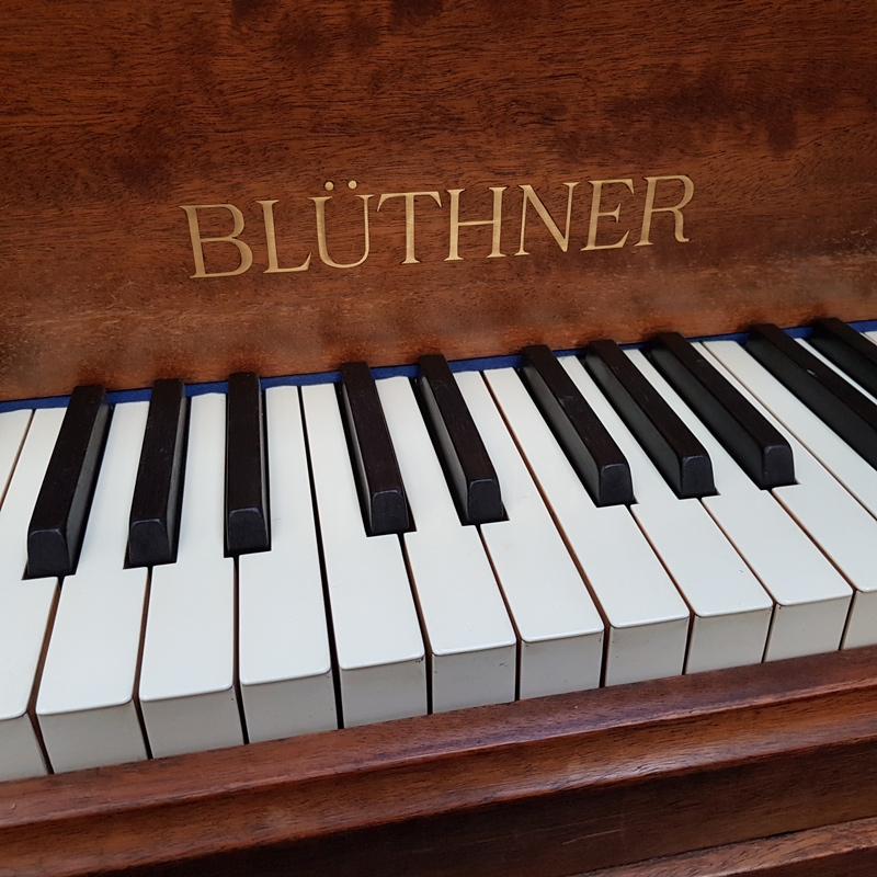 Bluthner IV