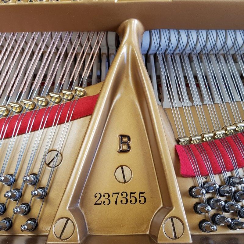 Steinway B grand Piano in black – Gallery image – Roberts Pianos Oxford