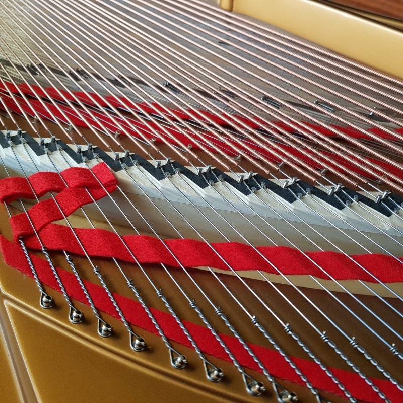 Steinway B