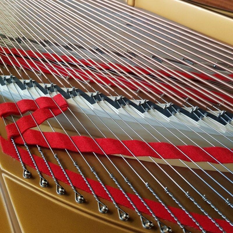 Steinway B grand Piano in black – Gallery image – Roberts Pianos Oxford