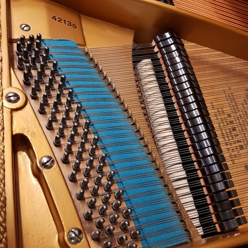 Bechstein V