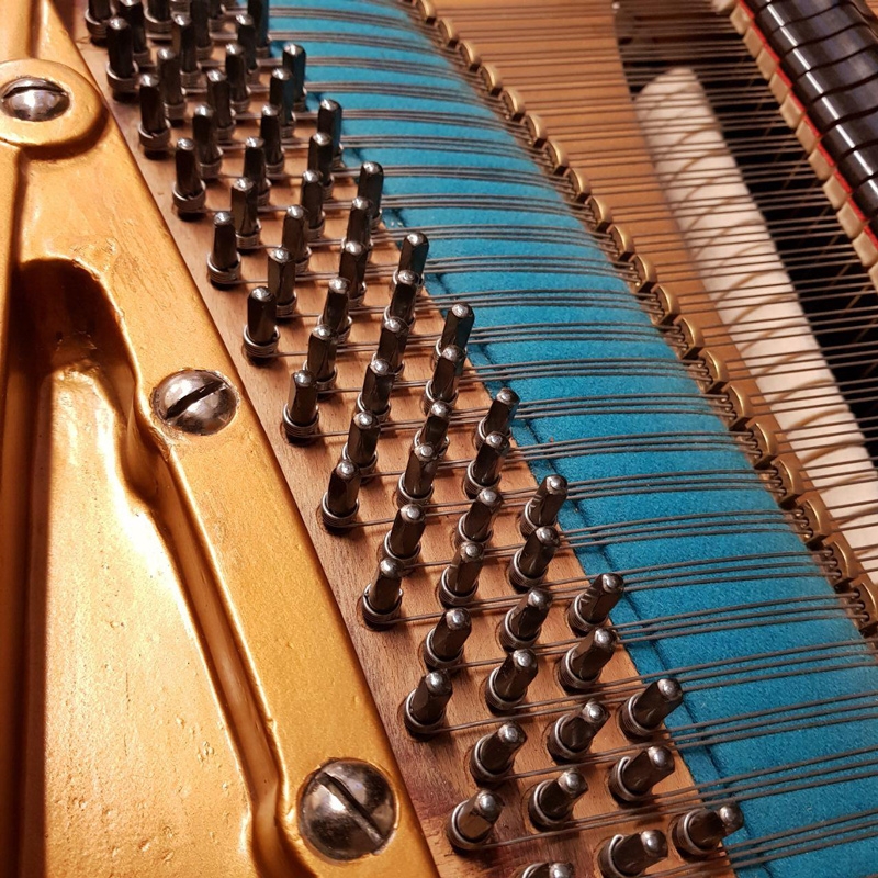 Bechstein V