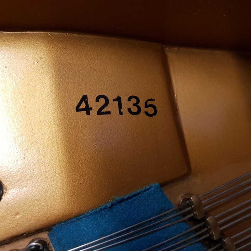 Bechstein V