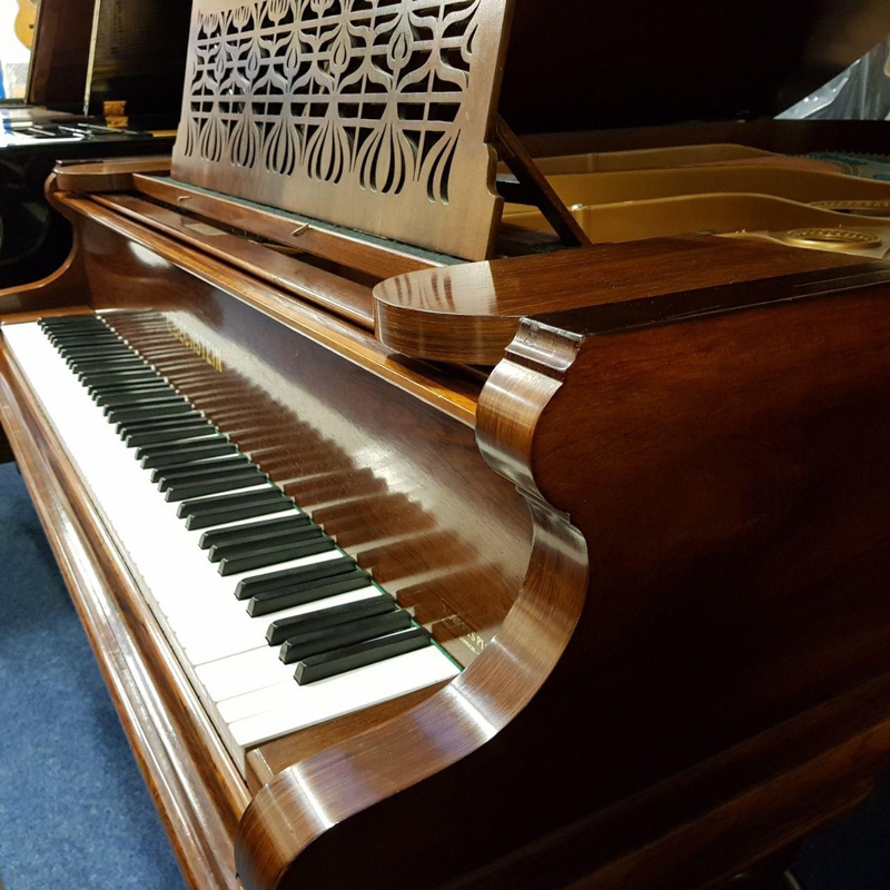 Bechstein V