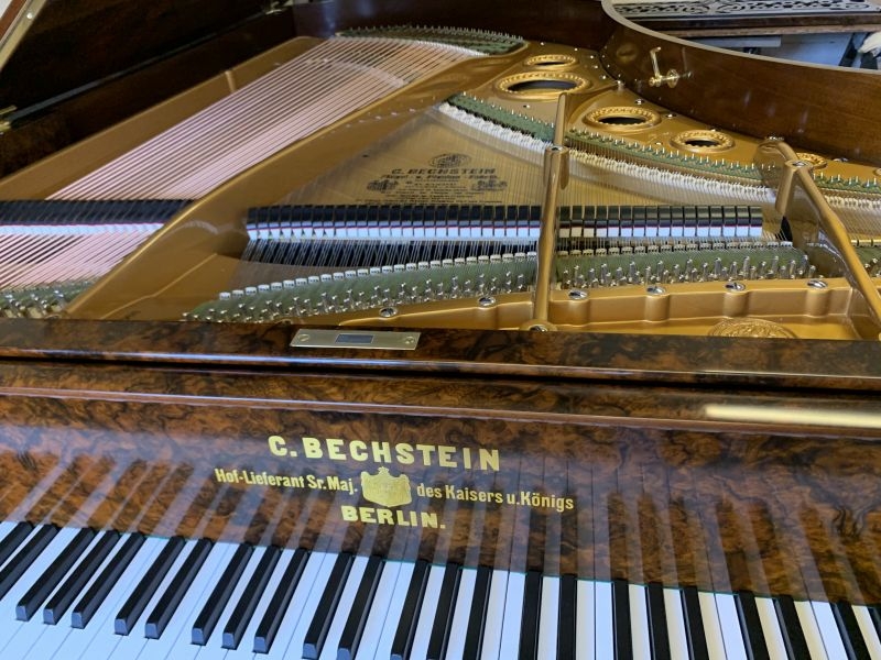 Bechstein V
