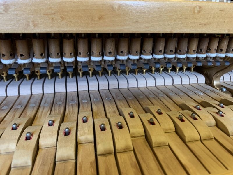 Bechstein V