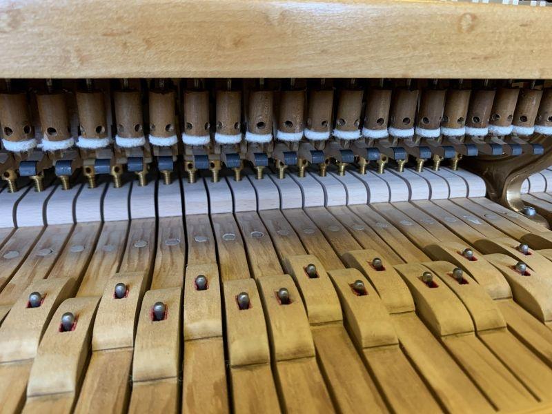 Bechstein V grand Piano in figured walnut – Gallery image – Roberts Pianos Oxford