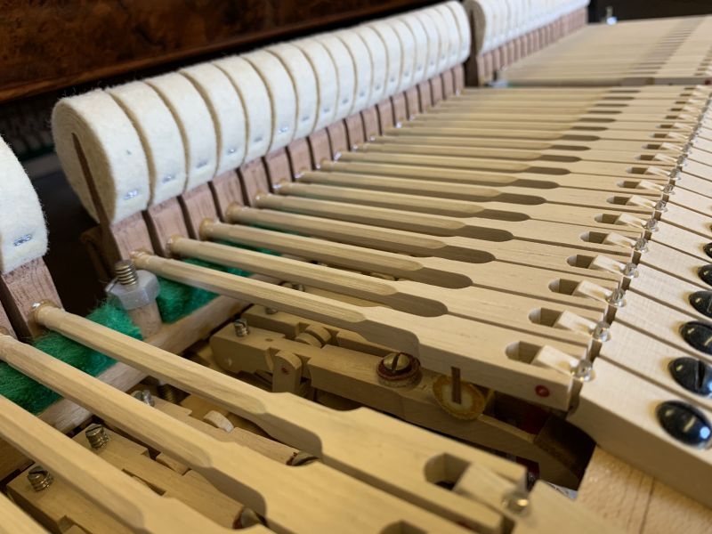 Bechstein V