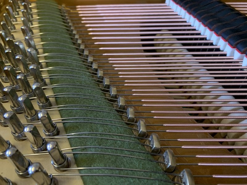 Bechstein V