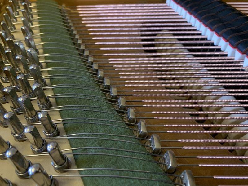 Bechstein V grand Piano in figured walnut – Gallery image – Roberts Pianos Oxford