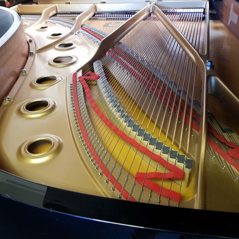 Yamaha C7