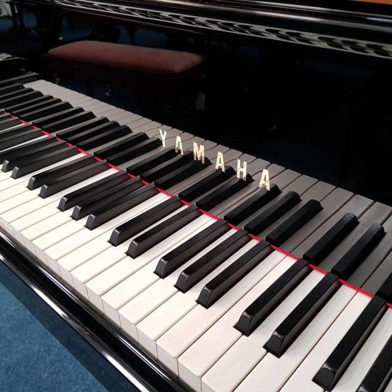 Yamaha C7
