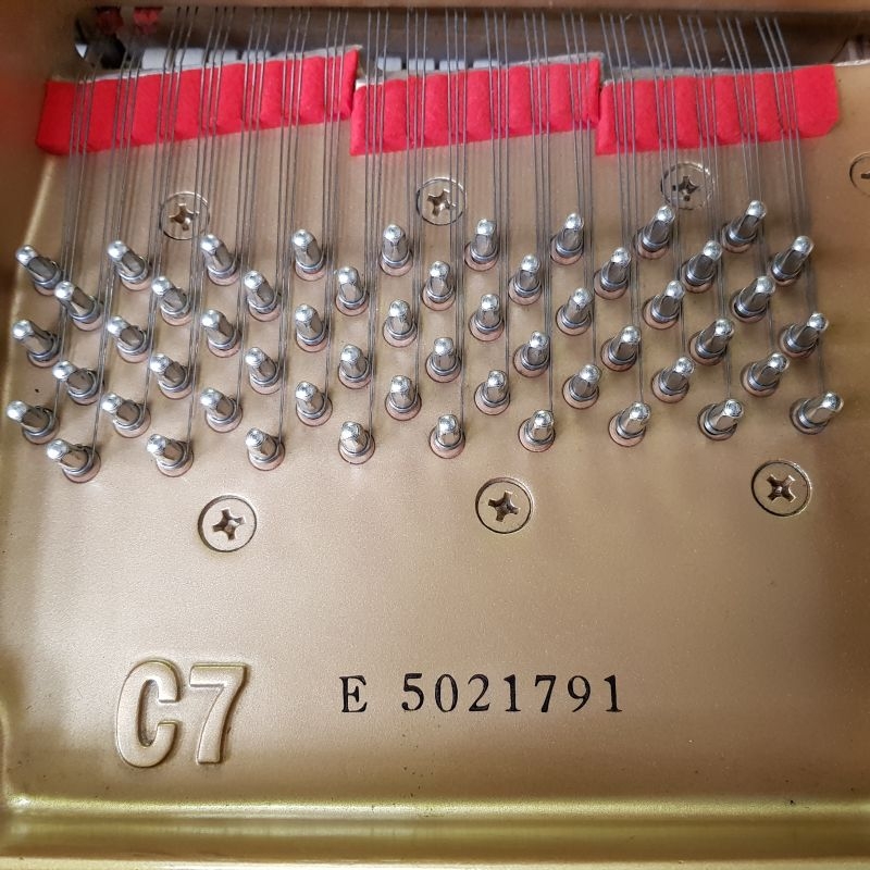 Yamaha C7