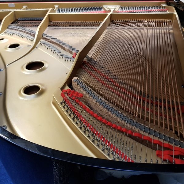 Yamaha G2