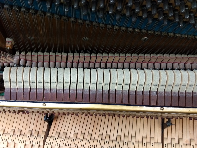Bechstein 8