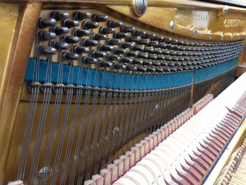 Bechstein 8