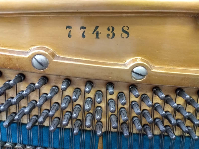 Bechstein 8