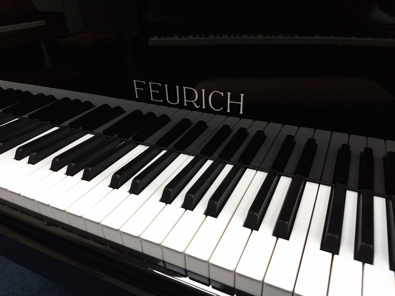 Feurich 179