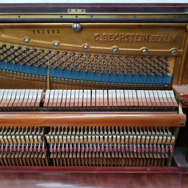 Bechstein 8