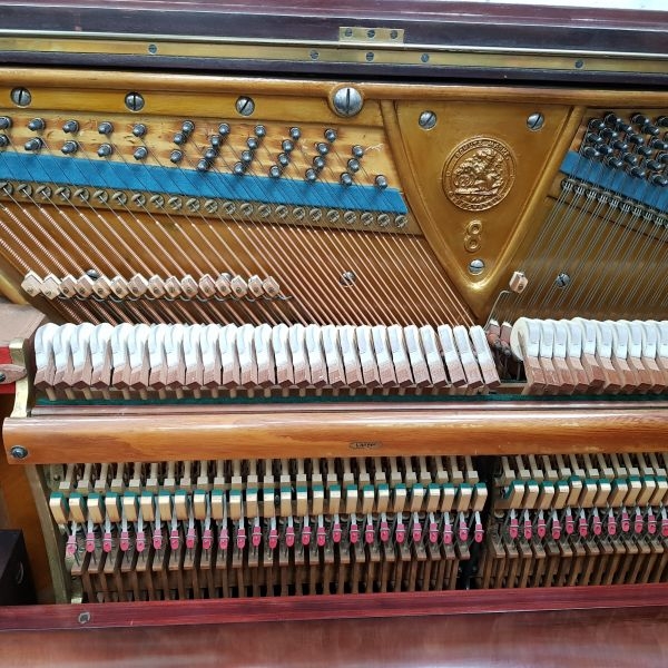 Bechstein 8