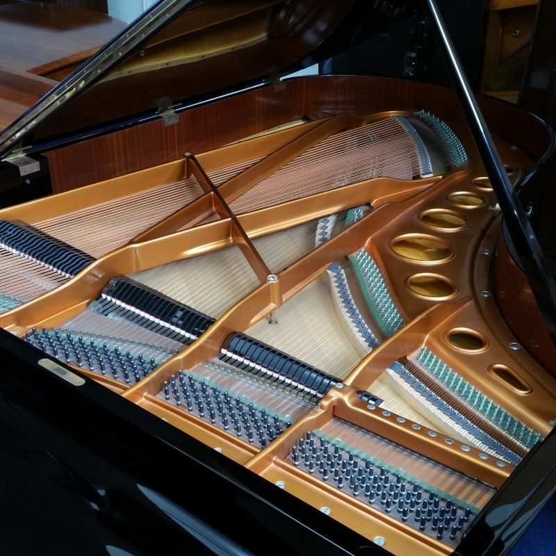Bosendorfer 200