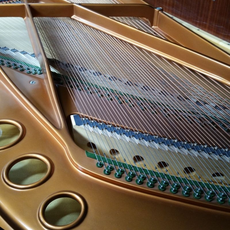 Bosendorfer 200