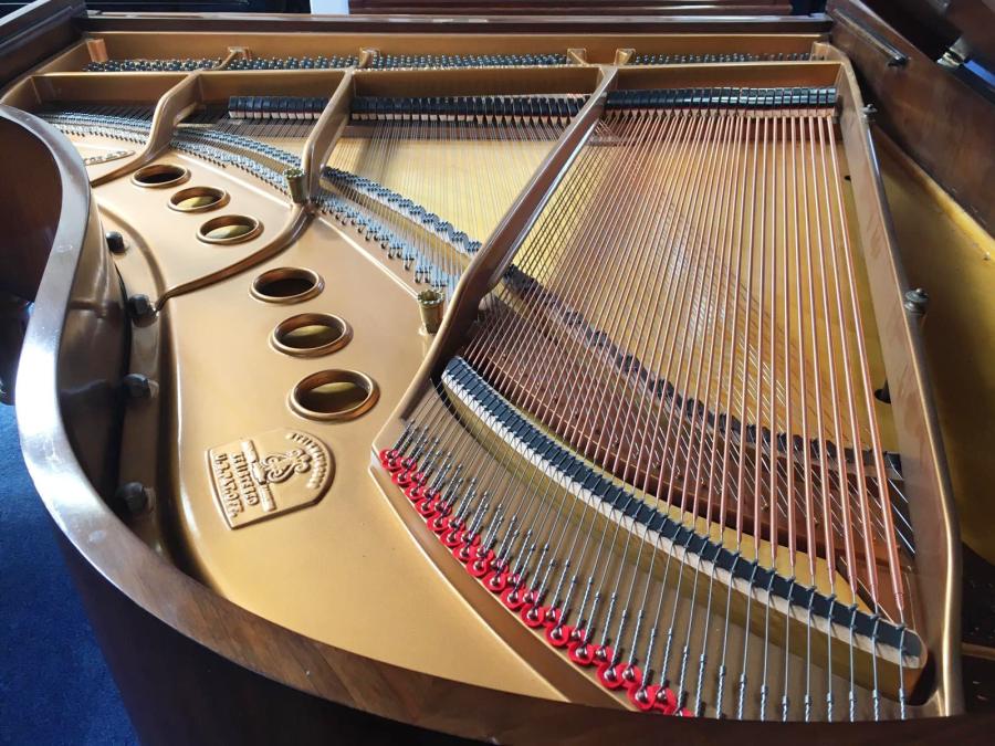 Steinway M grand Piano in walnut – Gallery image – Roberts Pianos Oxford
