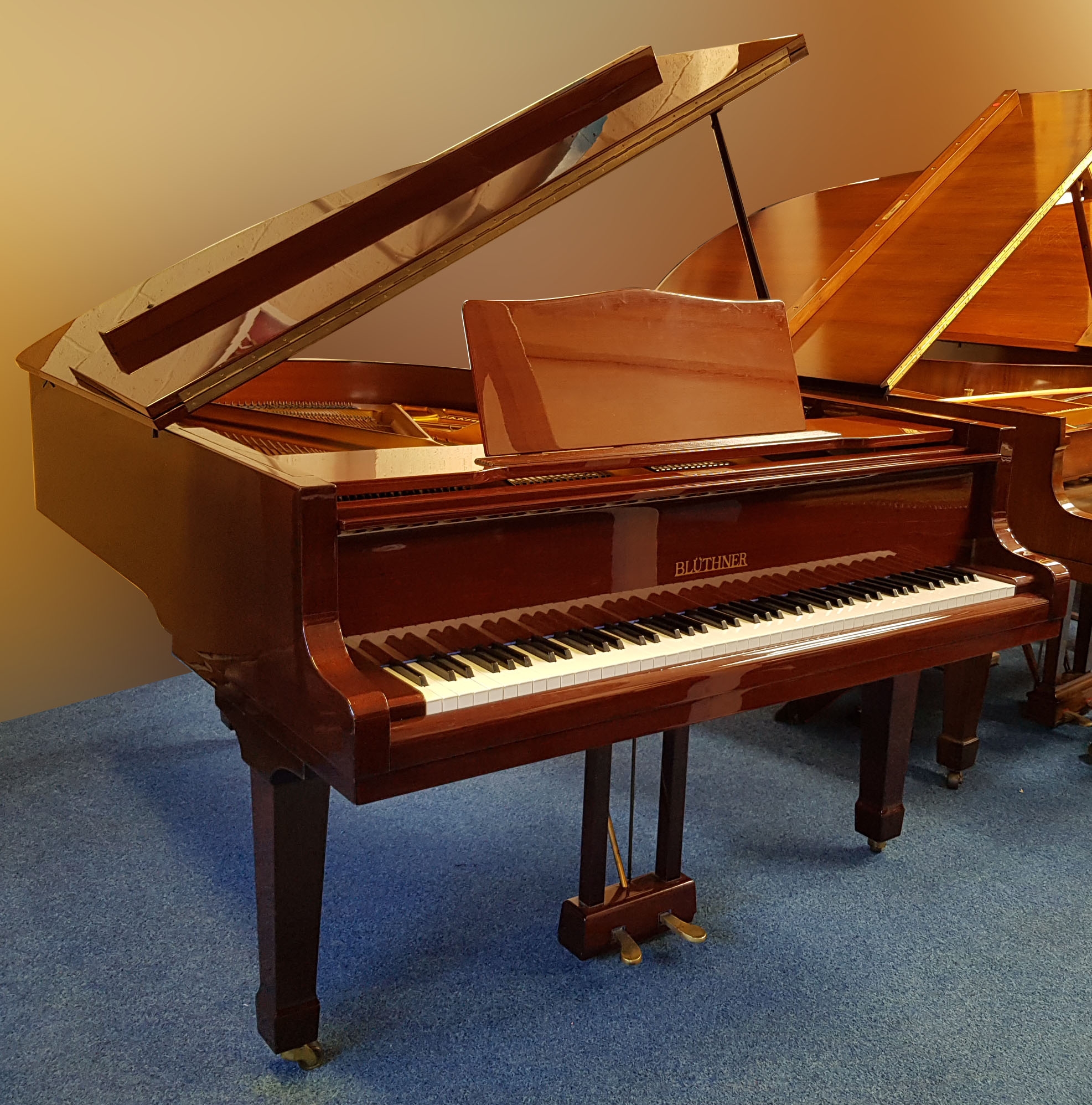 Bluthner 166 model 10 sold