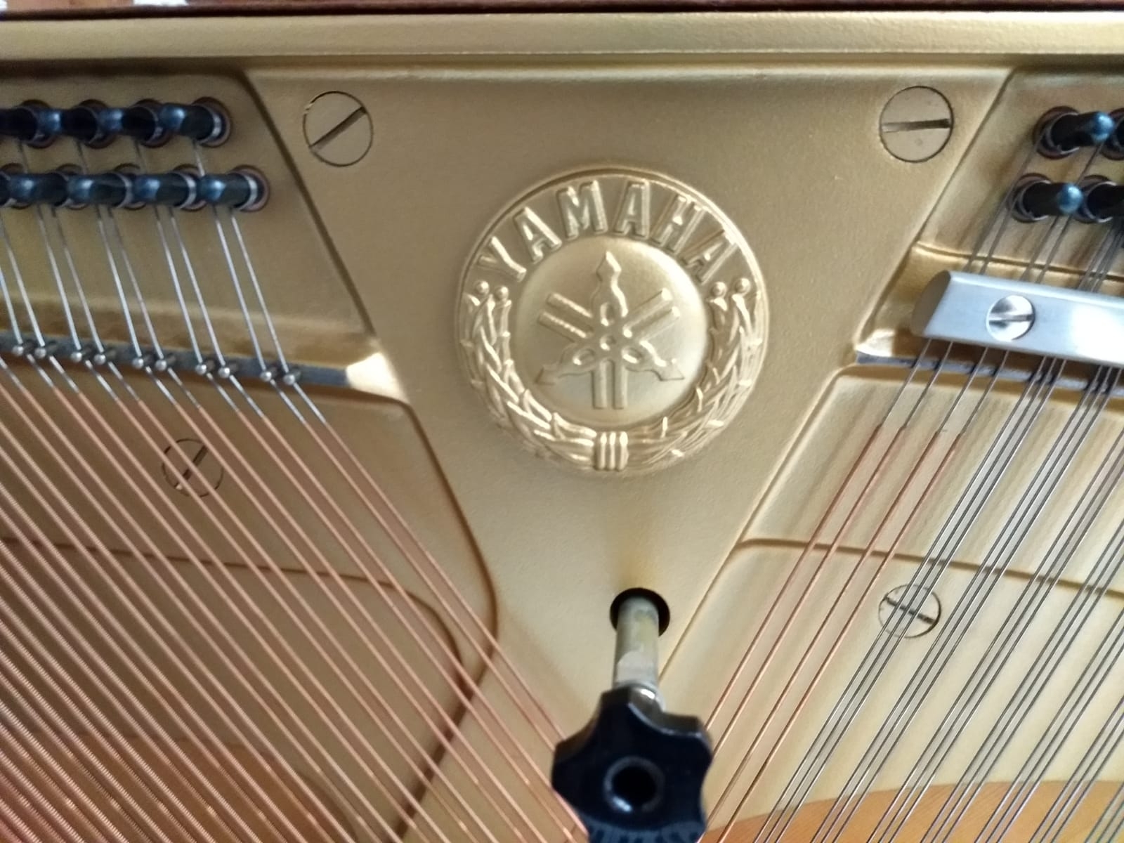 Yamaha M1S