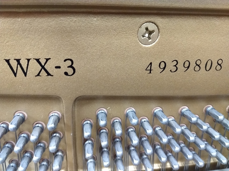 Yamaha WX-3