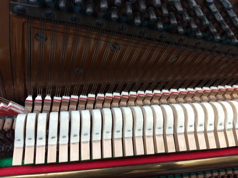 Biese upright Piano in Rosewood – Gallery image – Roberts Pianos Oxford