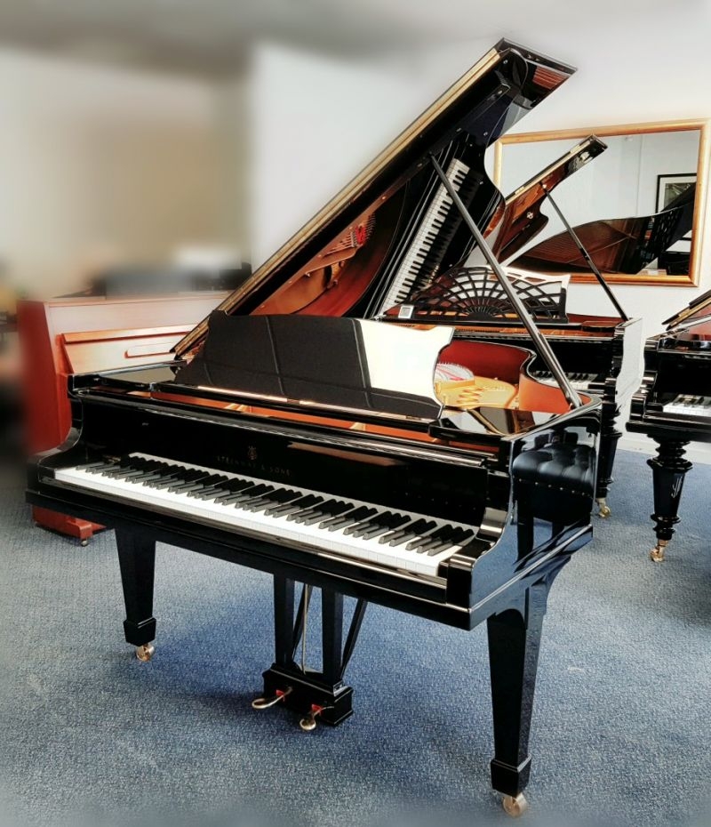 Steinway M