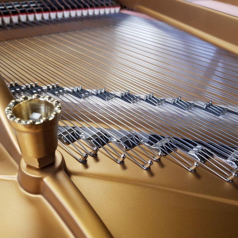 Steinway M grand Piano in bright black – Gallery image – Roberts Pianos Oxford