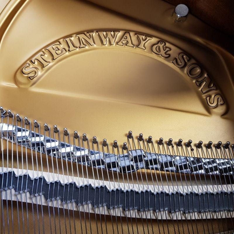 Steinway M grand Piano in bright black – Gallery image – Roberts Pianos Oxford