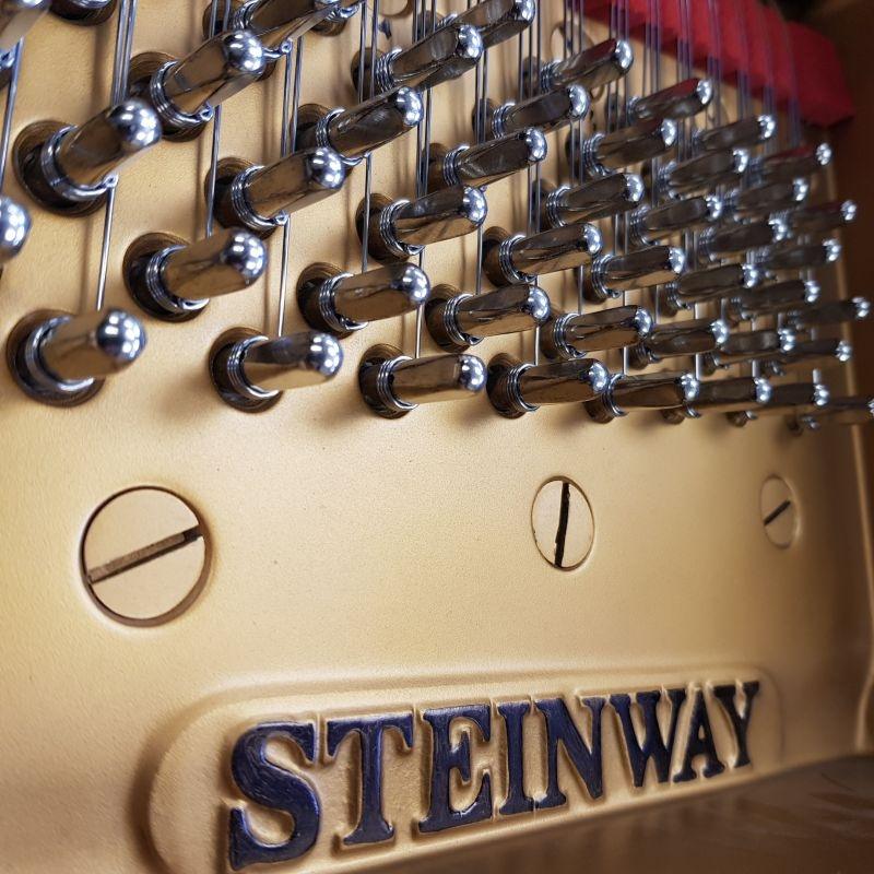 Steinway M grand Piano in bright black – Gallery image – Roberts Pianos Oxford