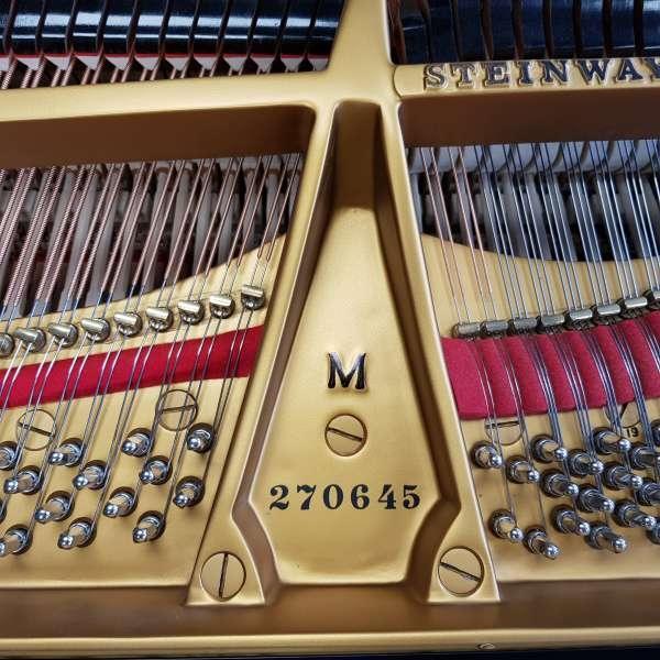 Steinway M grand Piano in bright black – Gallery image – Roberts Pianos Oxford