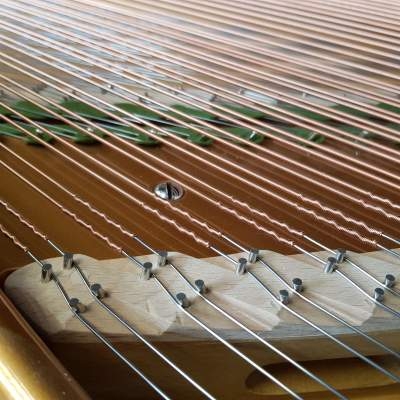 Bechstein V