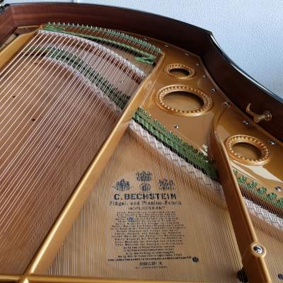 Bechstein V