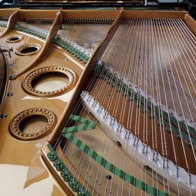 Bechstein V grand Piano in Bright Black – Gallery image – Roberts Pianos Oxford
